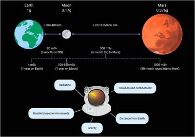 Biomarkers for biosensors to monitor space-induced cardiovascular ageing